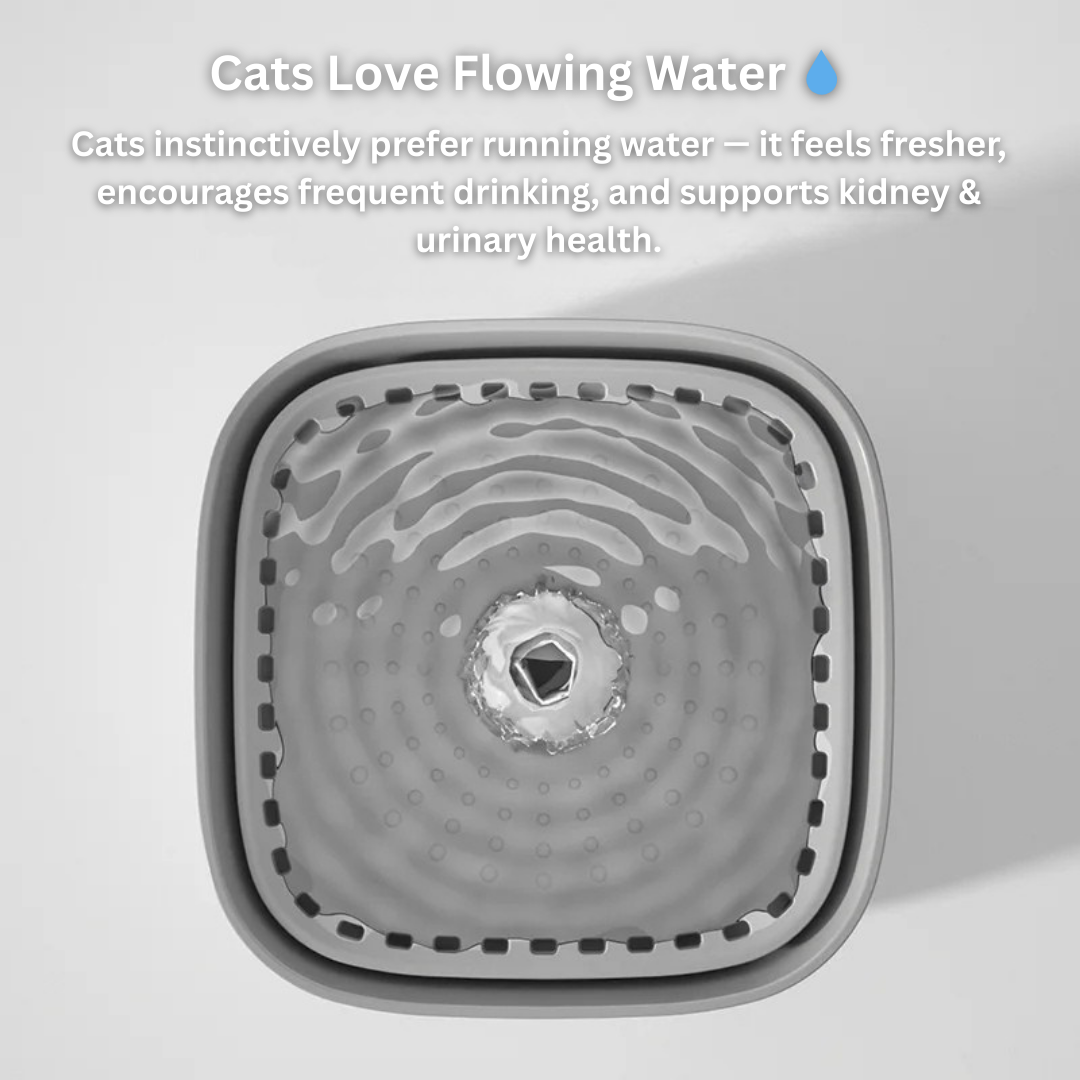 HydraPaws™ Cat Fountain
