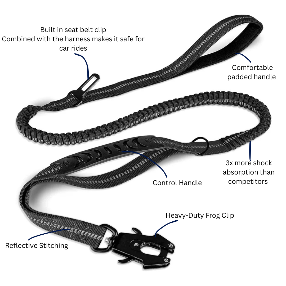 Murphy Pro Leash