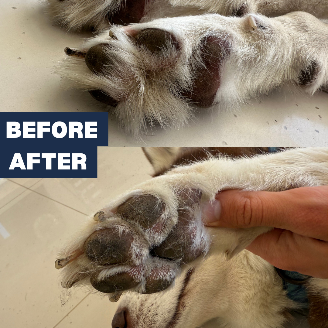 Murphy Pro Paw Trimmer