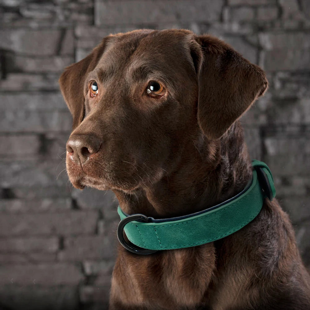 Leather Dog Collar