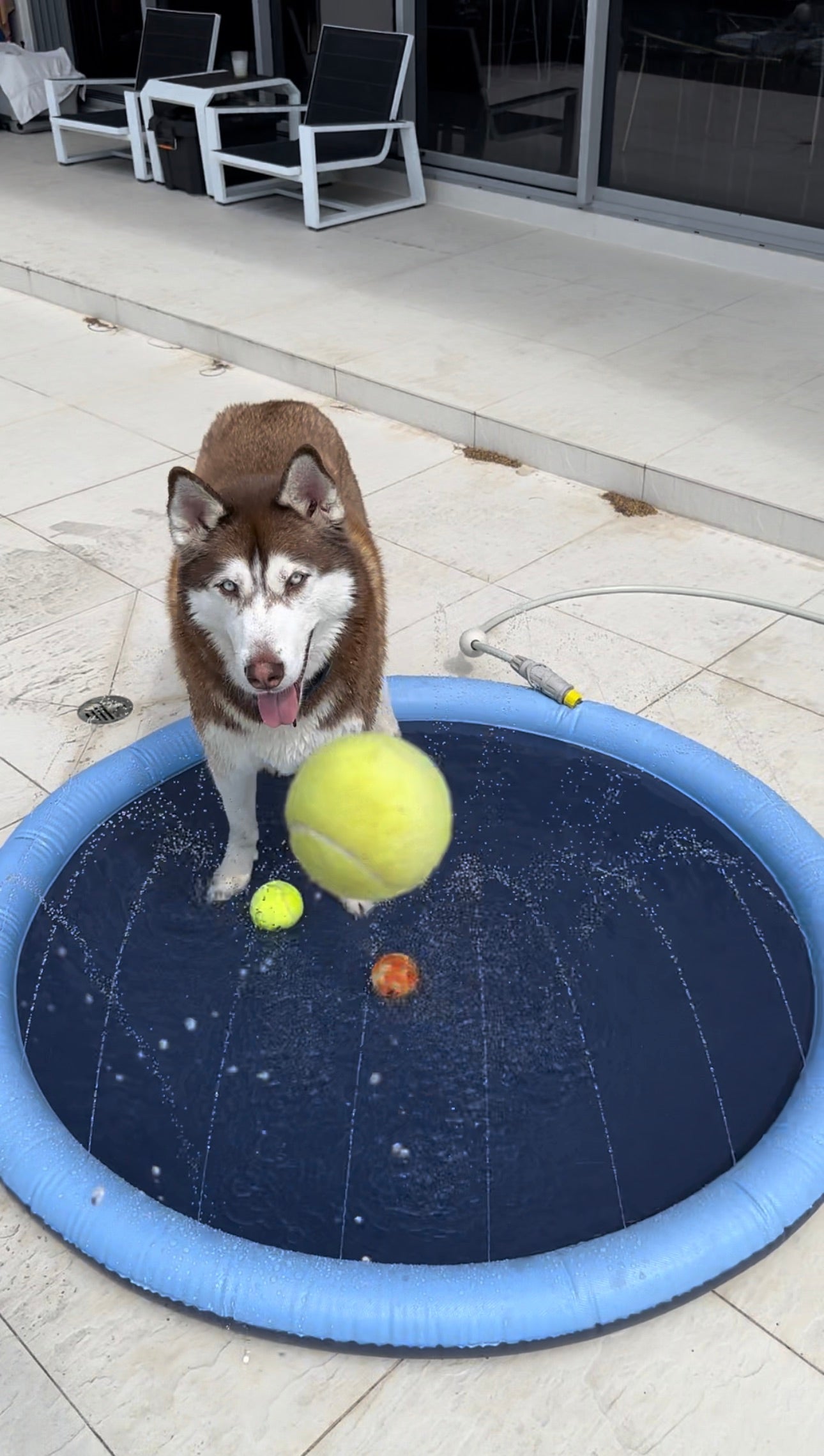 Inflatable Pet Sprinkler Pad – Fun & Refreshing Summer Play! 🐶💦