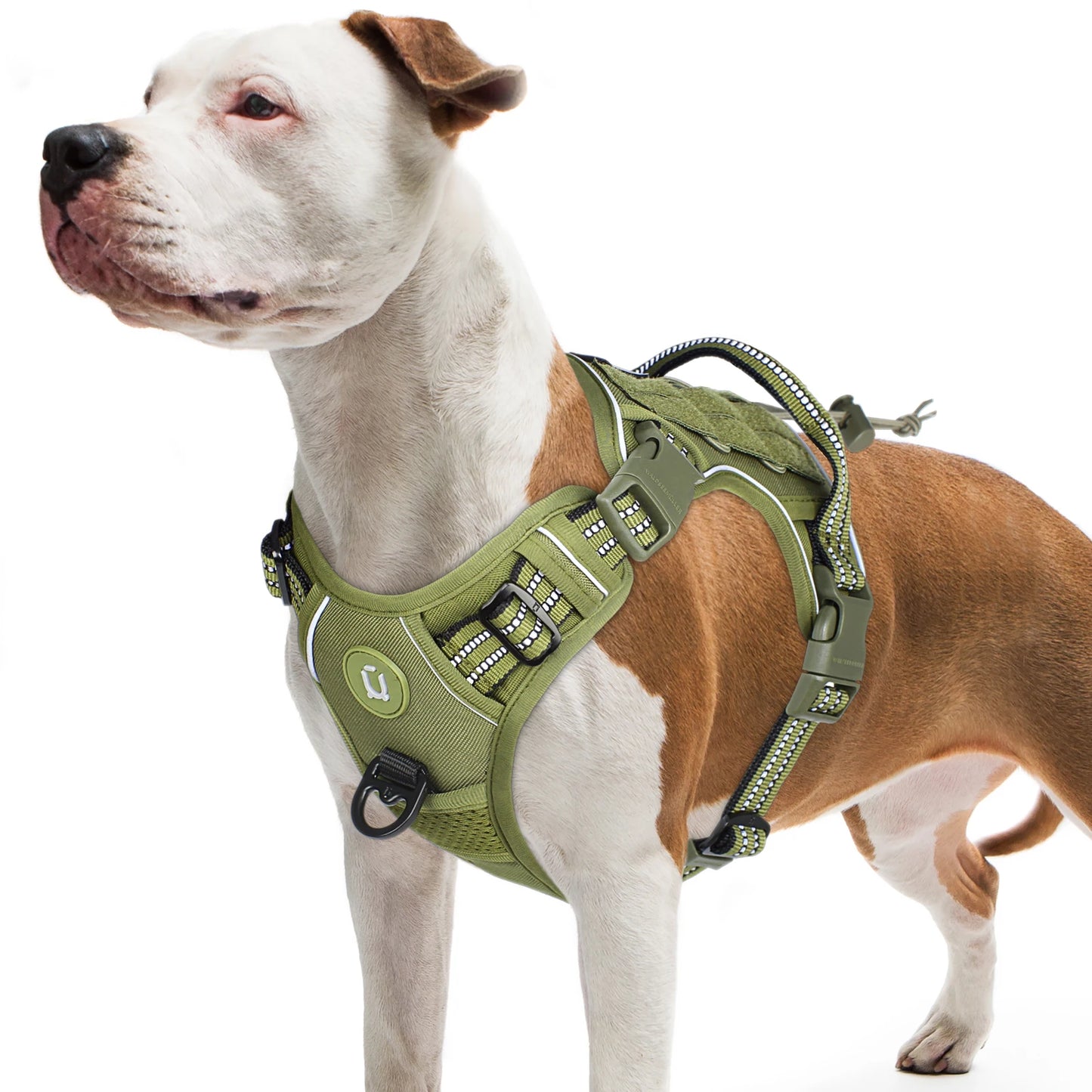 Dog Harness - No Pull Chest Attachment Point
