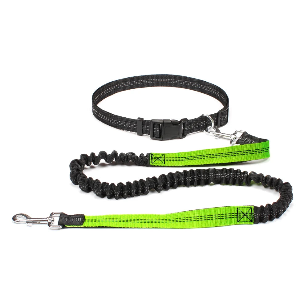 Hands-Free Shock-Absorbing Dog Leash with Waist Belt