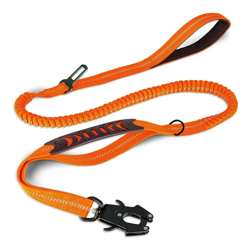 Murphy Pro Leash
