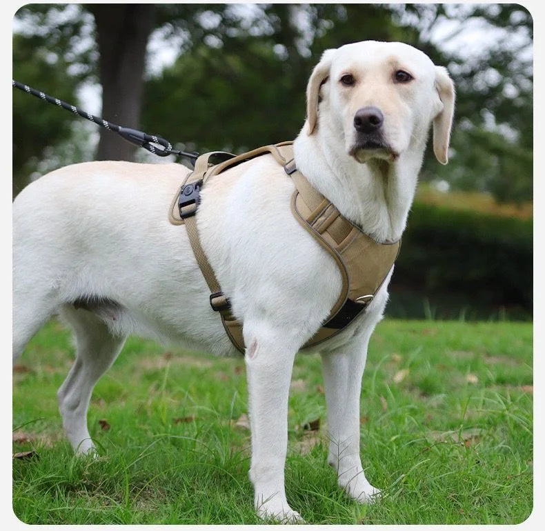 SafeTrack™ No-Pull Harness