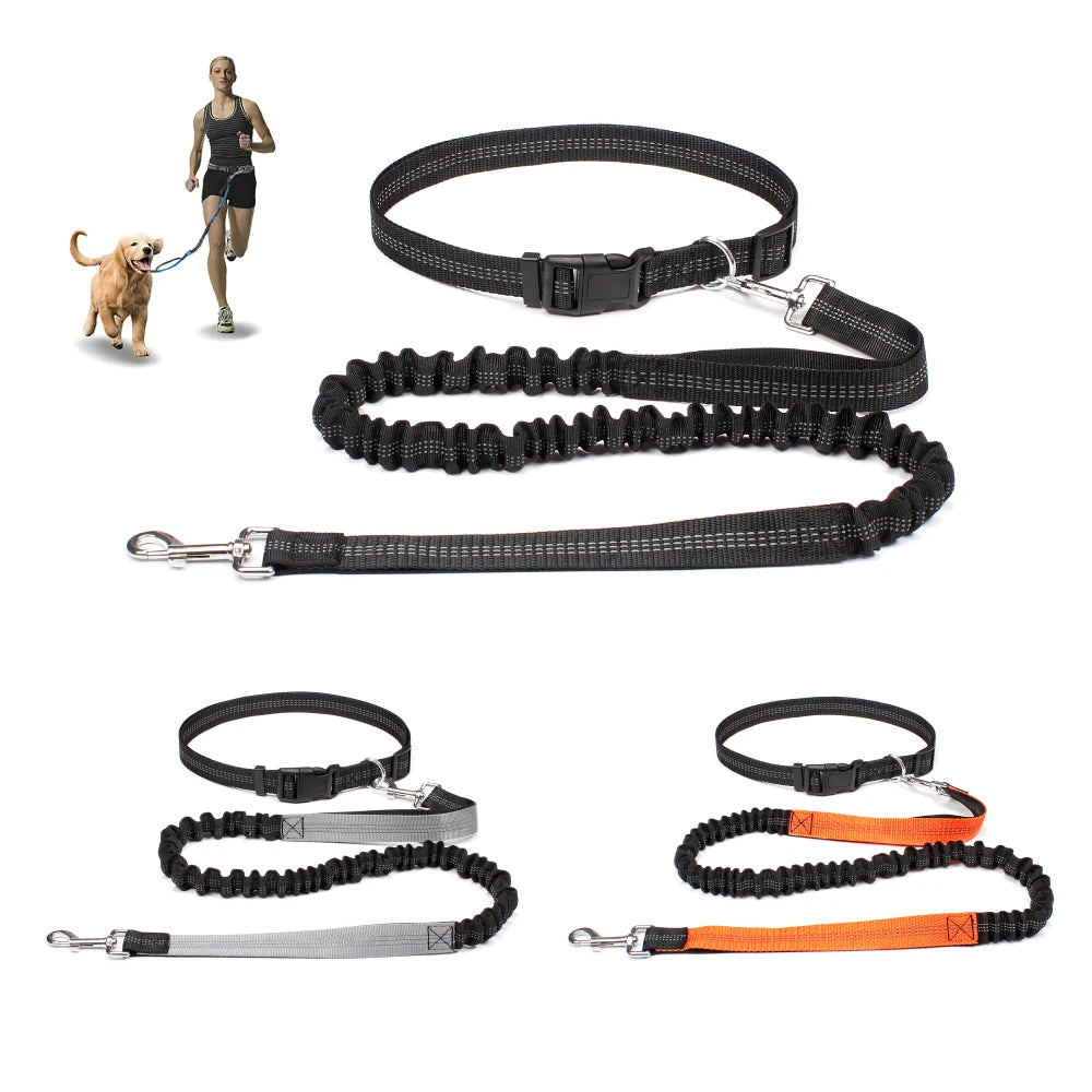 Hands-Free Shock-Absorbing Dog Leash with Waist Belt