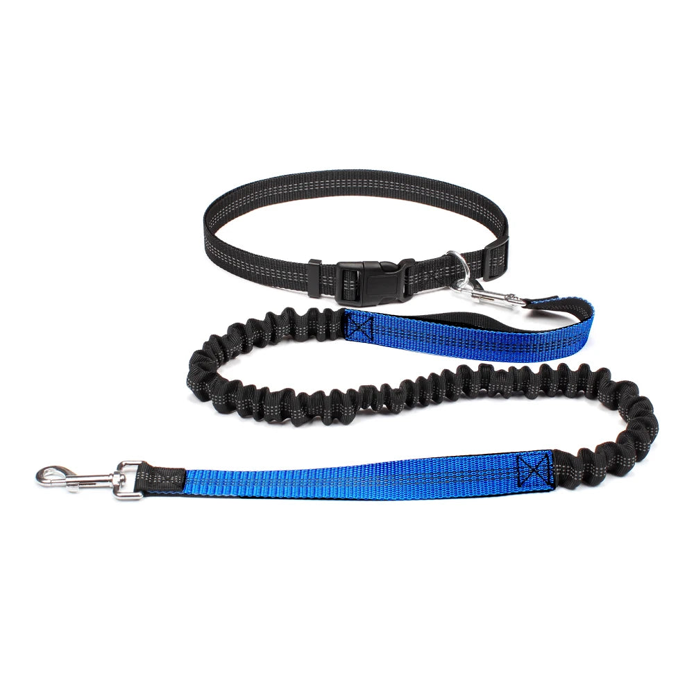Hands-Free Shock-Absorbing Dog Leash with Waist Belt