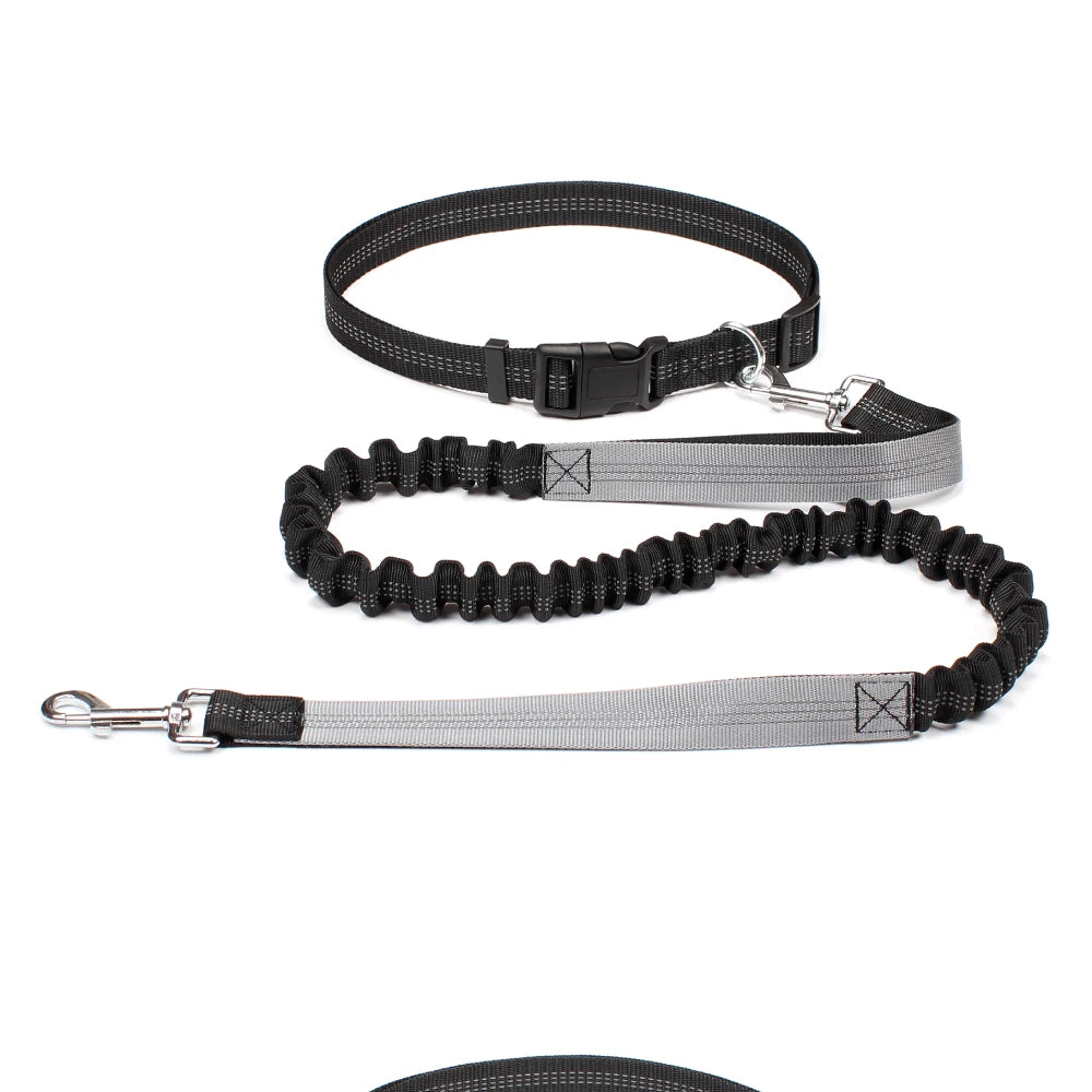 Hands-Free Shock-Absorbing Dog Leash with Waist Belt