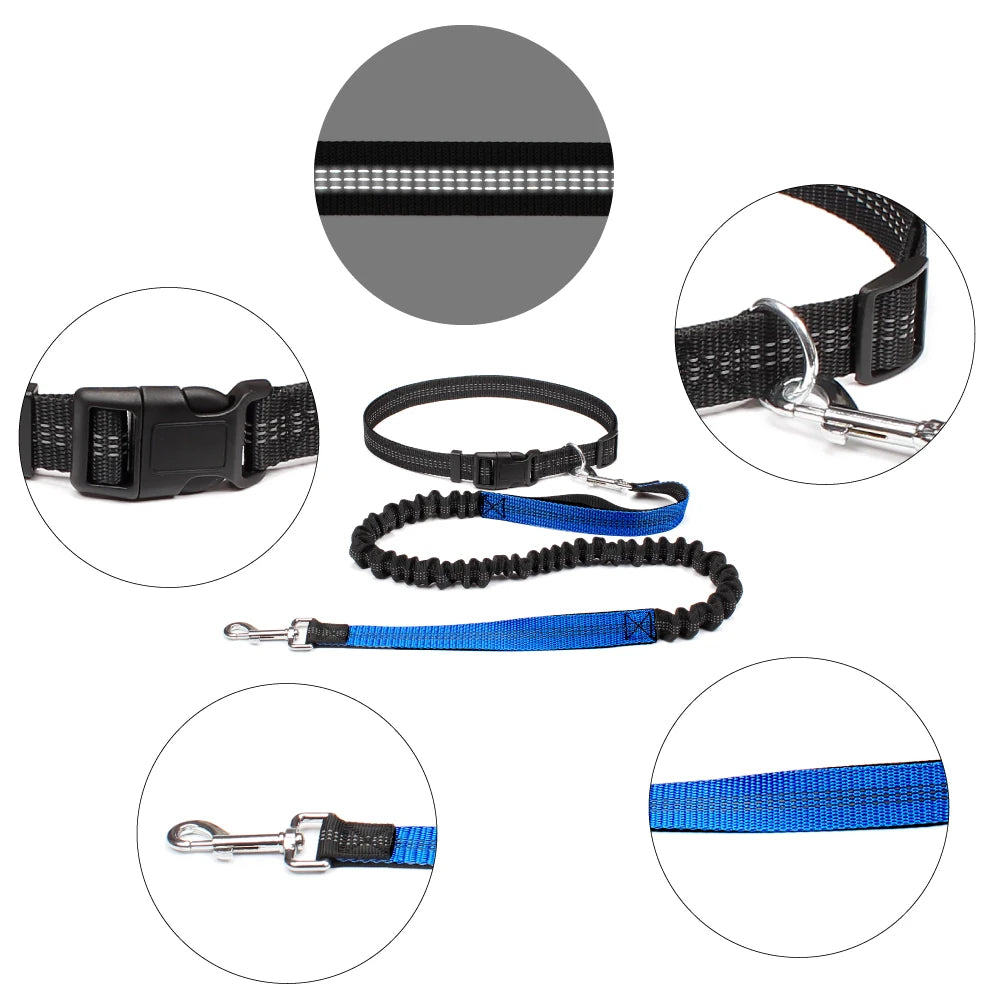Hands-Free Shock-Absorbing Dog Leash with Waist Belt