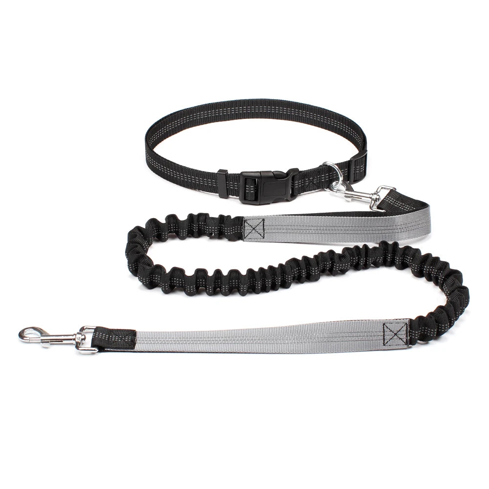 Hands-Free Shock-Absorbing Dog Leash with Waist Belt