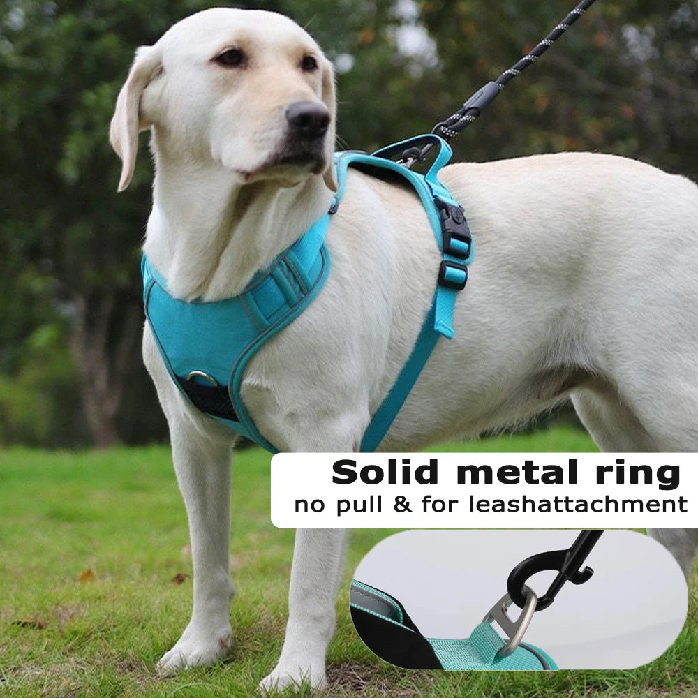 SafeTrack™ No-Pull Harness