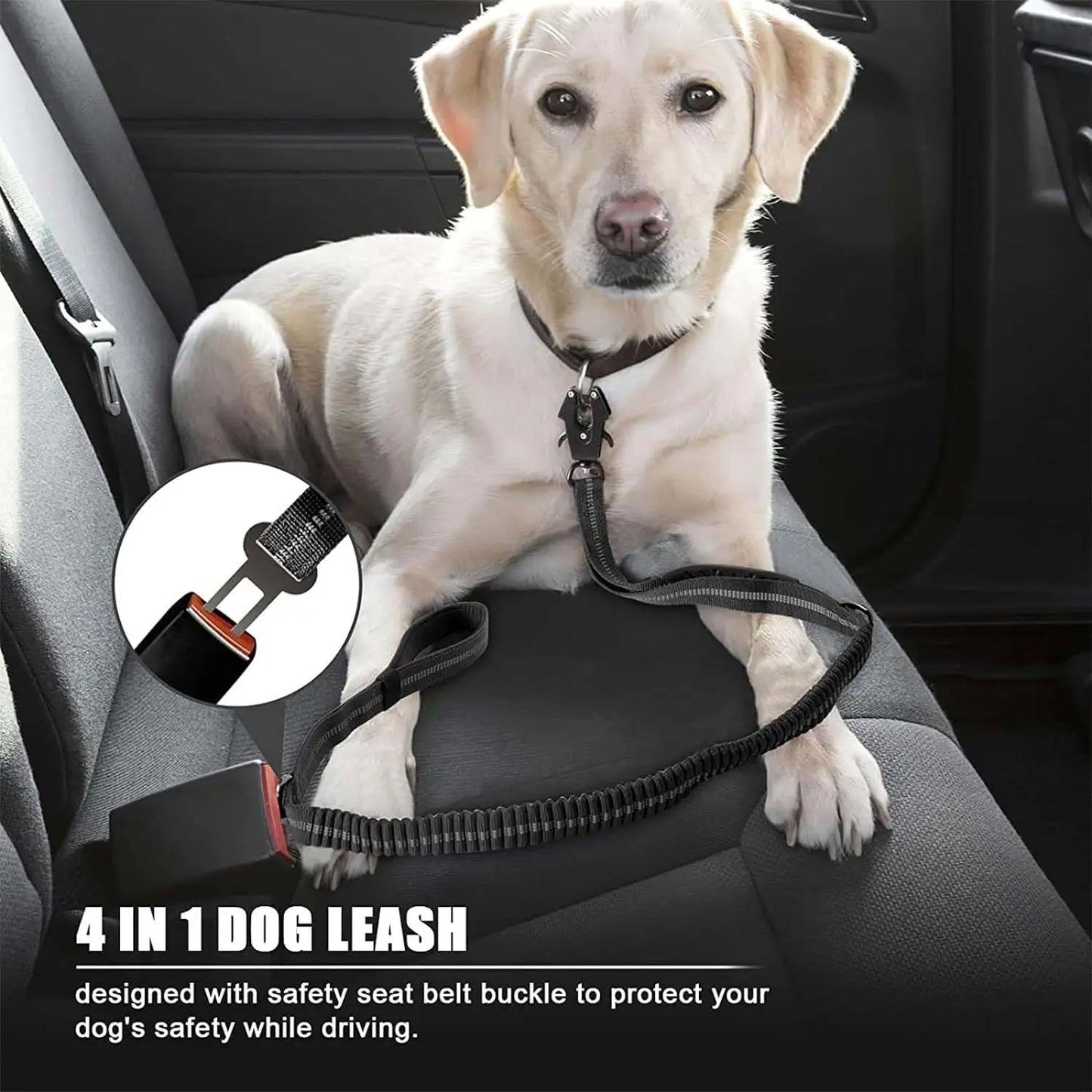 Reflective shock absorbing Dog Leash with Car Seat Belt Clip