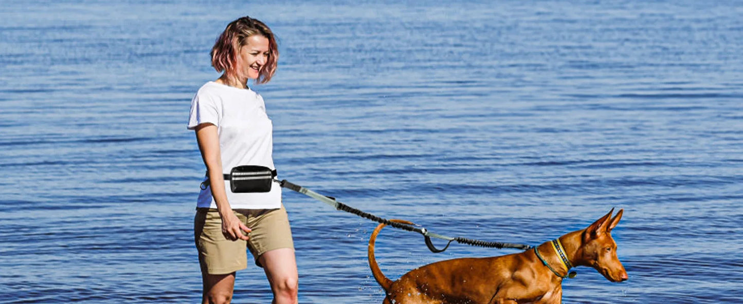 Freedom Leash Pro™