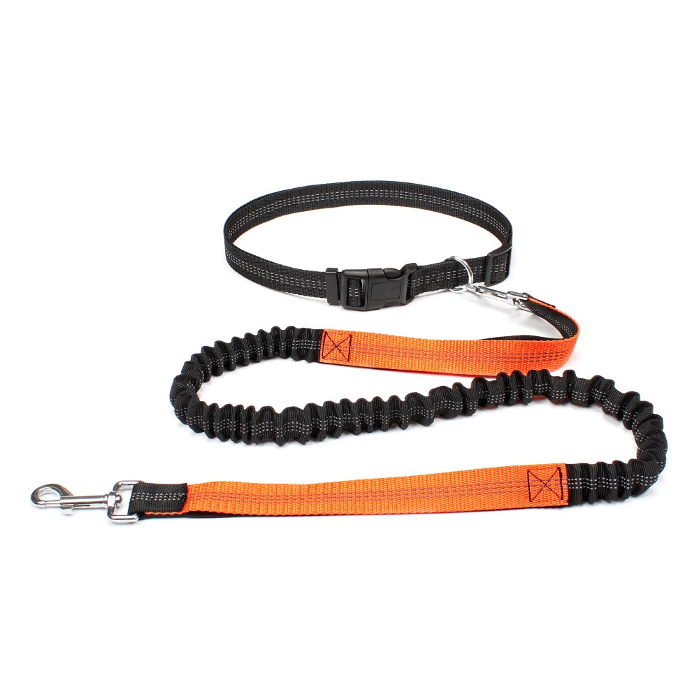 Hands-Free Shock-Absorbing Dog Leash with Waist Belt