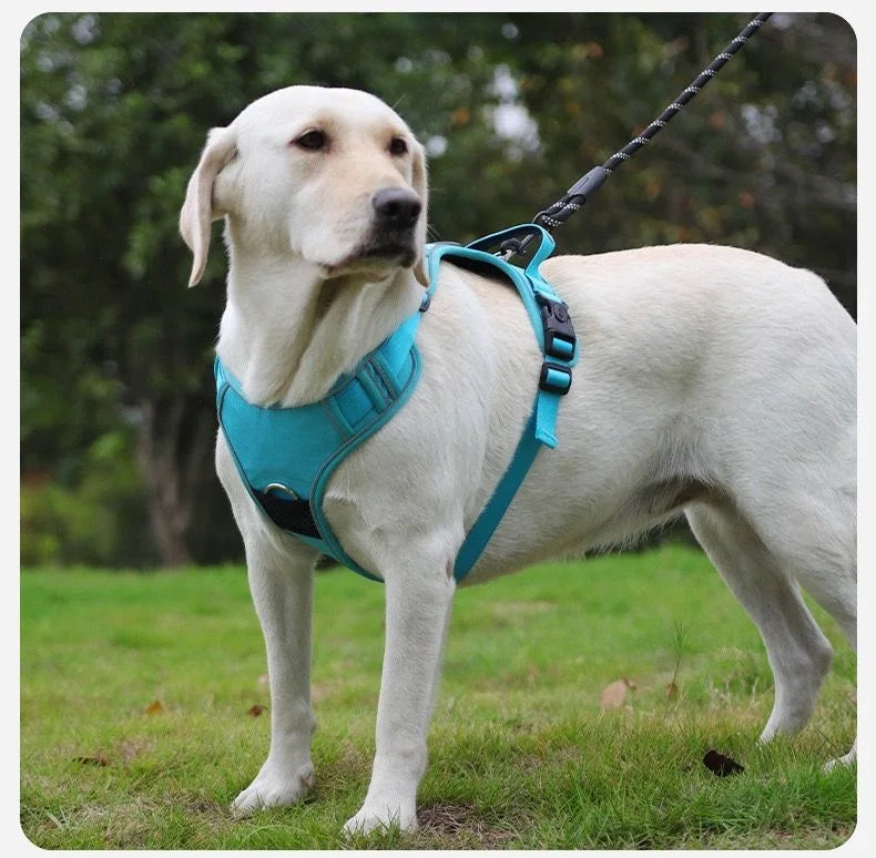 SafeTrack™ No-Pull Harness