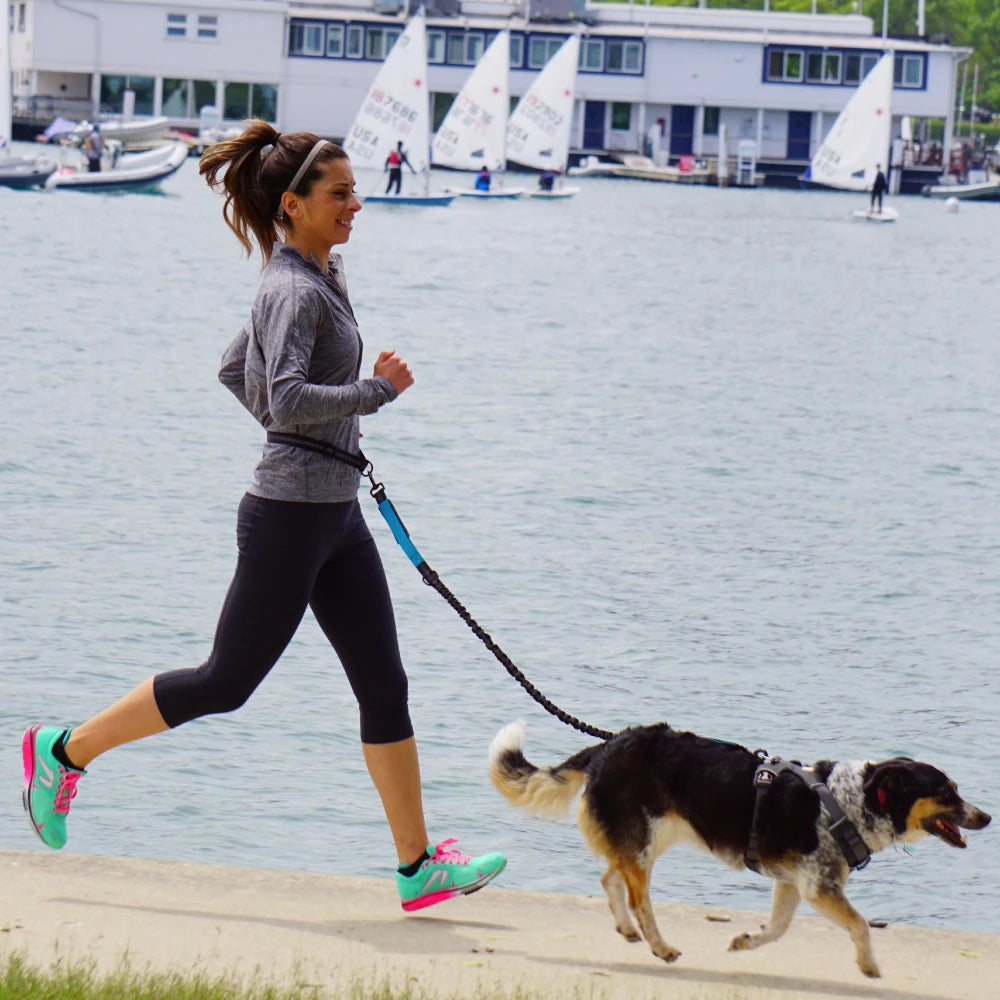 Hands-Free Shock-Absorbing Dog Leash with Waist Belt