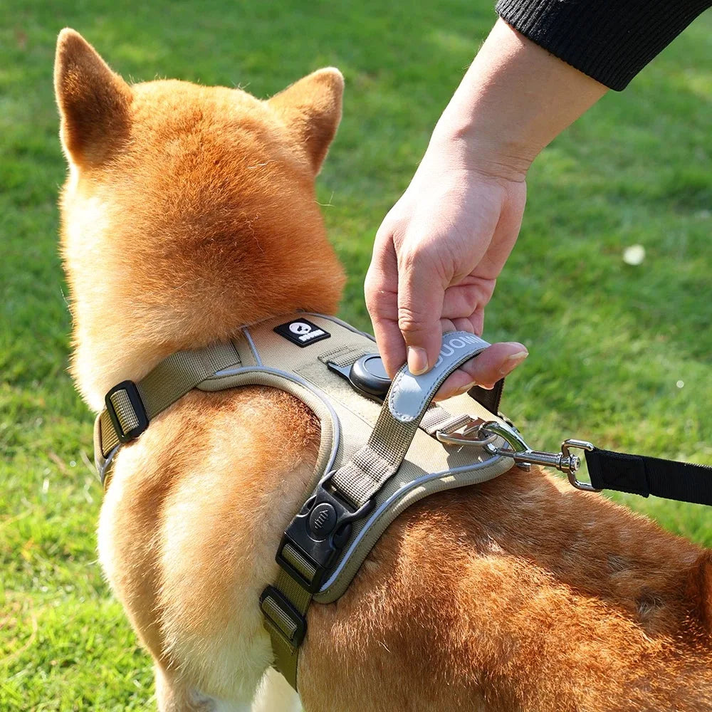 SafeTrack™ No-Pull Harness