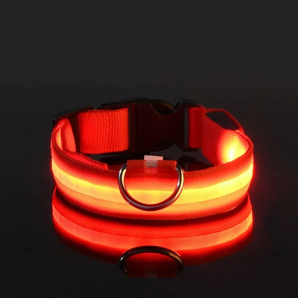 Nylon LED Night Safety Flashing Glow-in-the-Dark Dog Collar ππΆ