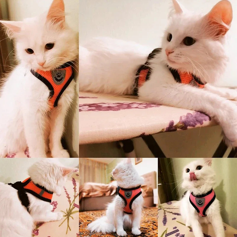 Adjustable Pet Harness w/ Leash - Small Dogs & Cats