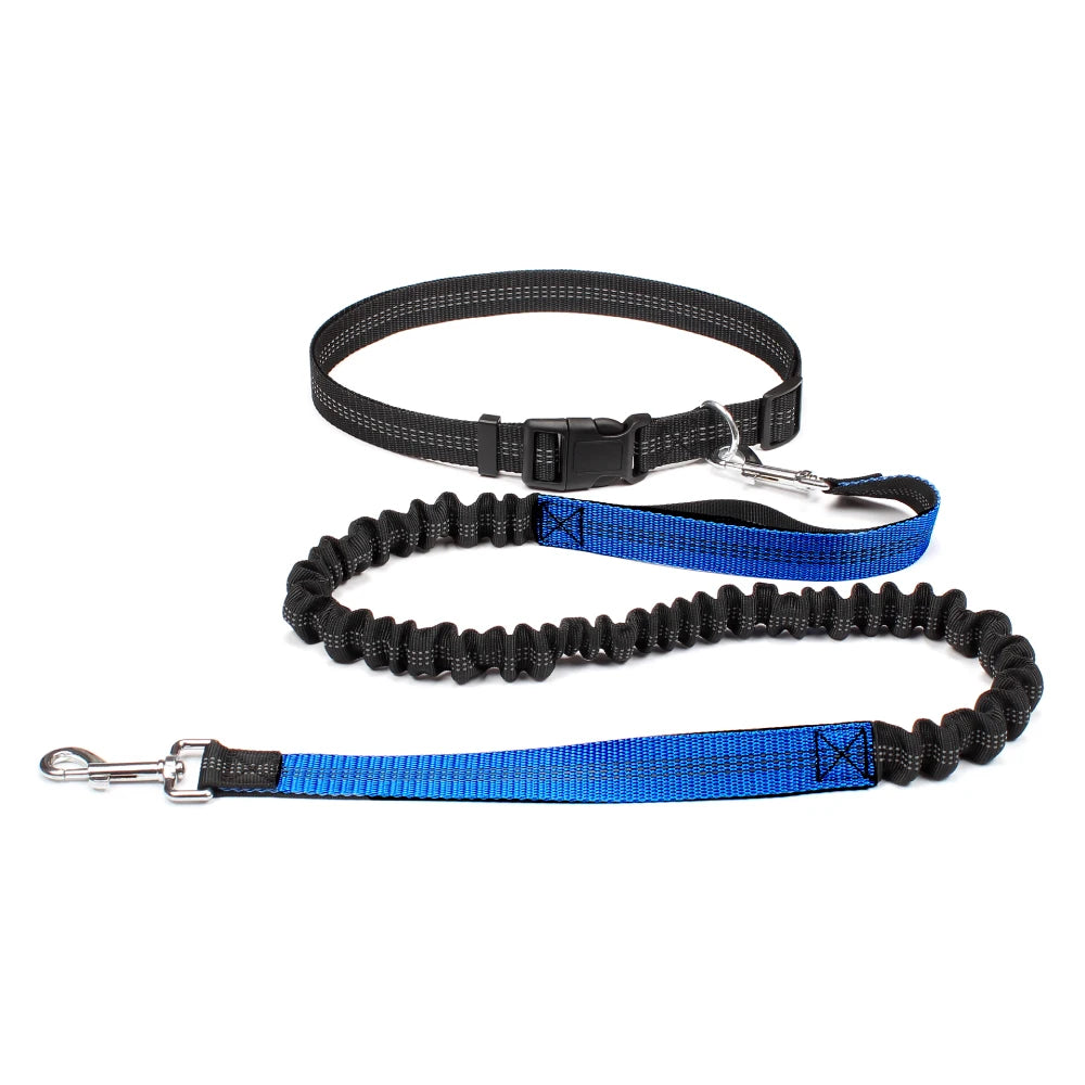Hands-Free Shock-Absorbing Dog Leash with Waist Belt