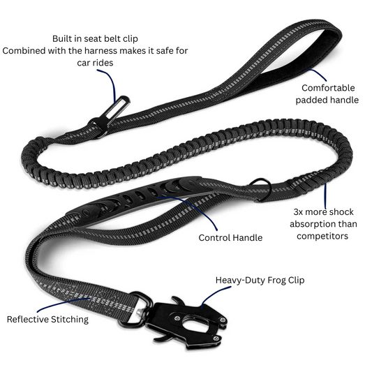Murphy Pro Leash