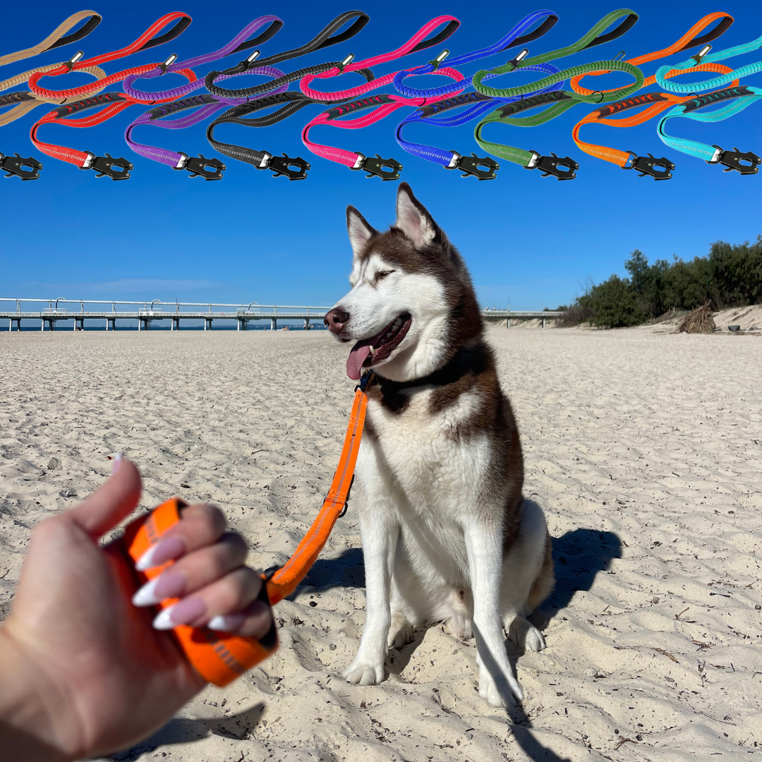 Murphy Pro Leash