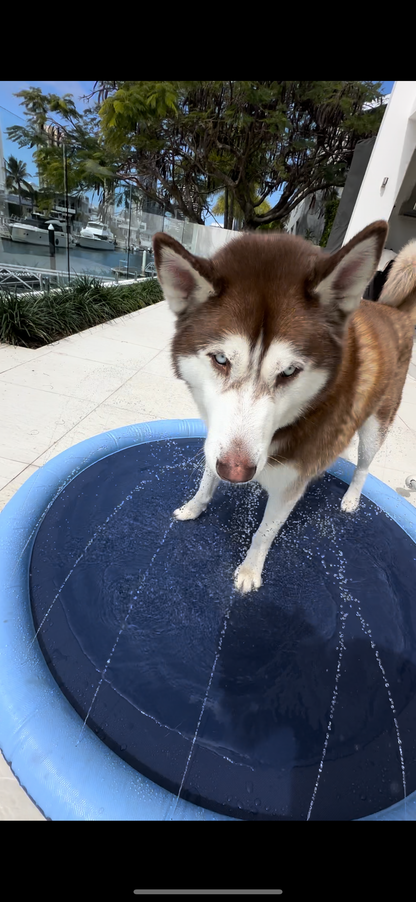 Inflatable Pet Sprinkler Pad – Fun & Refreshing Summer Play! 🐶💦