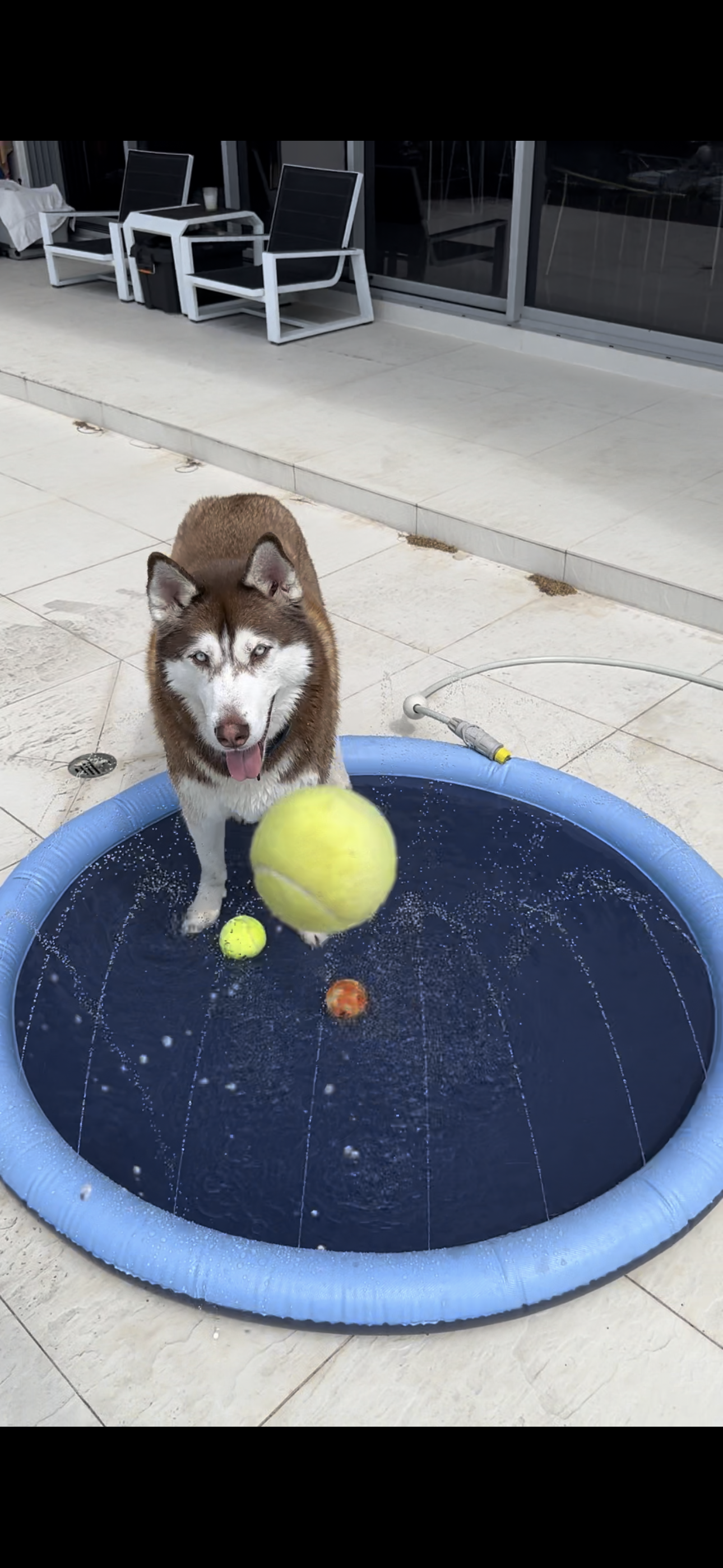 Inflatable Pet Sprinkler Pad – Fun & Refreshing Summer Play! 🐶💦