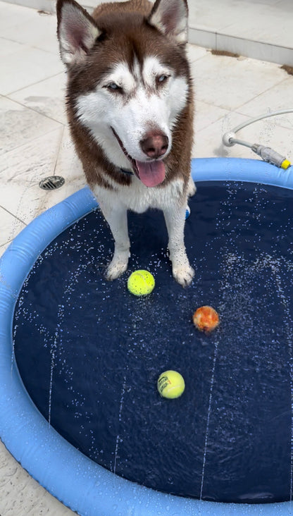 Inflatable Pet Sprinkler Pad – Fun & Refreshing Summer Play! 🐶💦