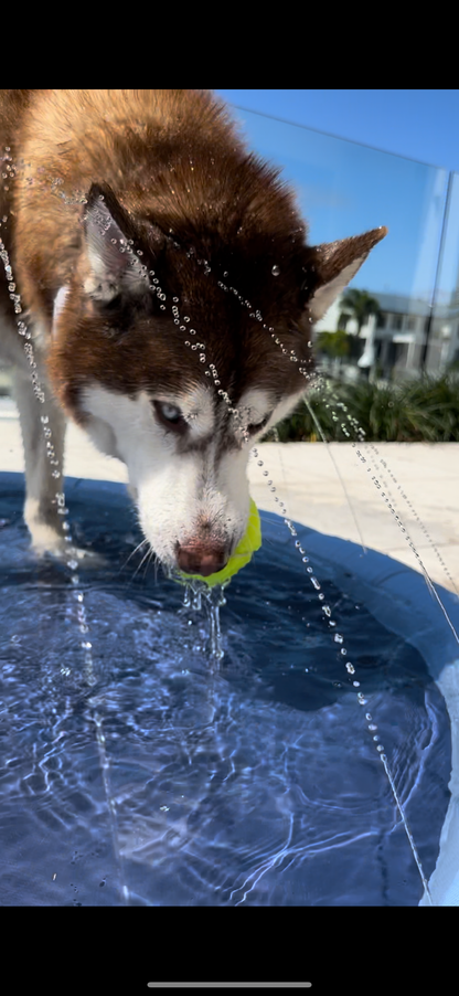 Inflatable Pet Sprinkler Pad – Fun & Refreshing Summer Play! 🐶💦