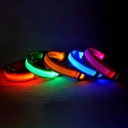 Nylon LED Night Safety Flashing Glow-in-the-Dark Dog Collar 🌟🐶