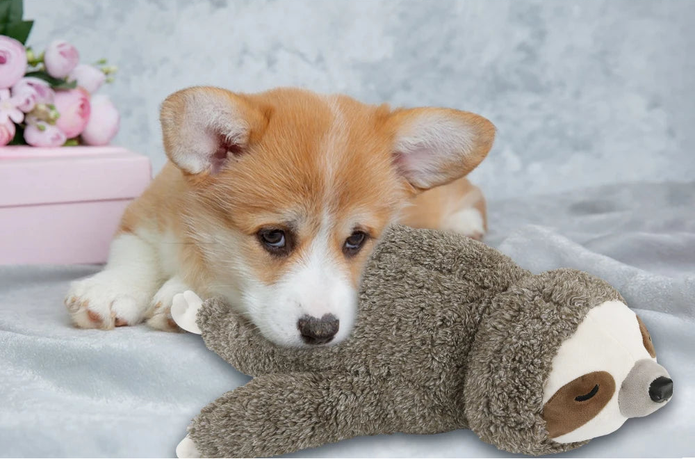 Murphy SnuggleSloth™