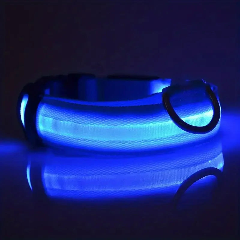 Nylon LED Night Safety Flashing Glow-in-the-Dark Dog Collar 🌟🐶