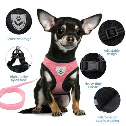 Adjustable Pet Harness w/ Leash - Small Dogs & Cats