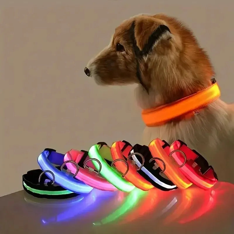 Nylon LED Night Safety Flashing Glow-in-the-Dark Dog Collar 🌟🐶