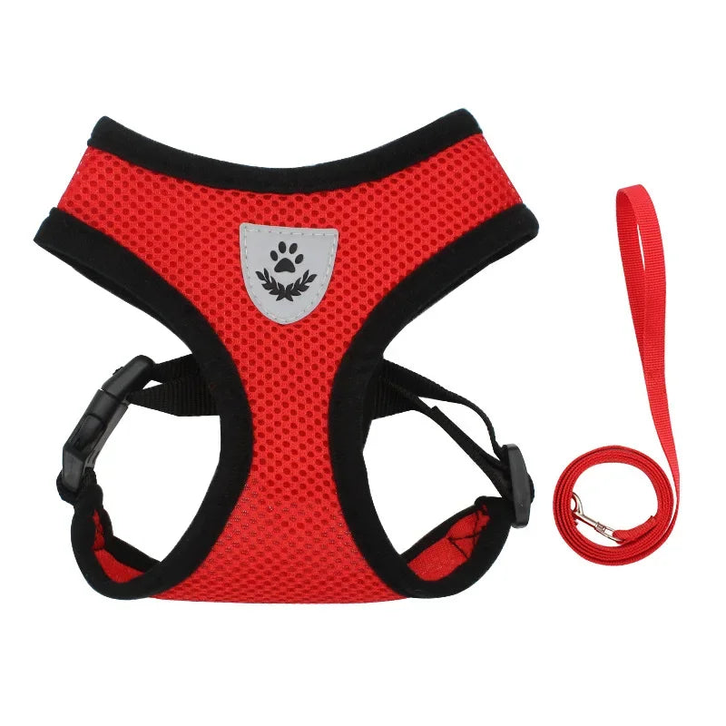 Adjustable Pet Harness w/ Leash - Small Dogs & Cats