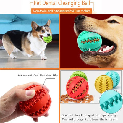 Treat & Chew Ball