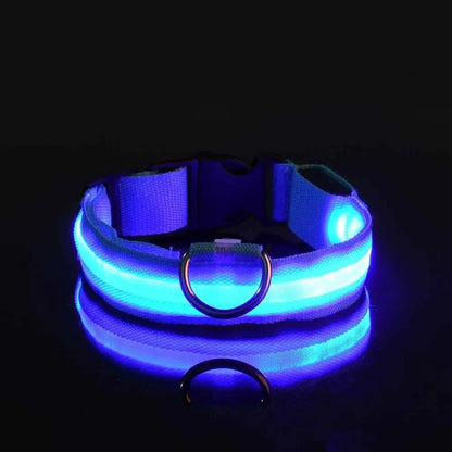 Nylon LED Night Safety Flashing Glow-in-the-Dark Dog Collar 🌟🐶