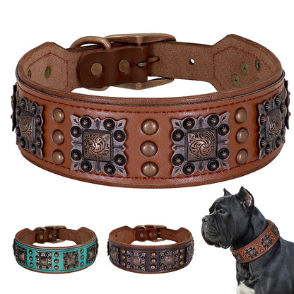 Luxury Leather Dog Collar - Medium to Large Dogs