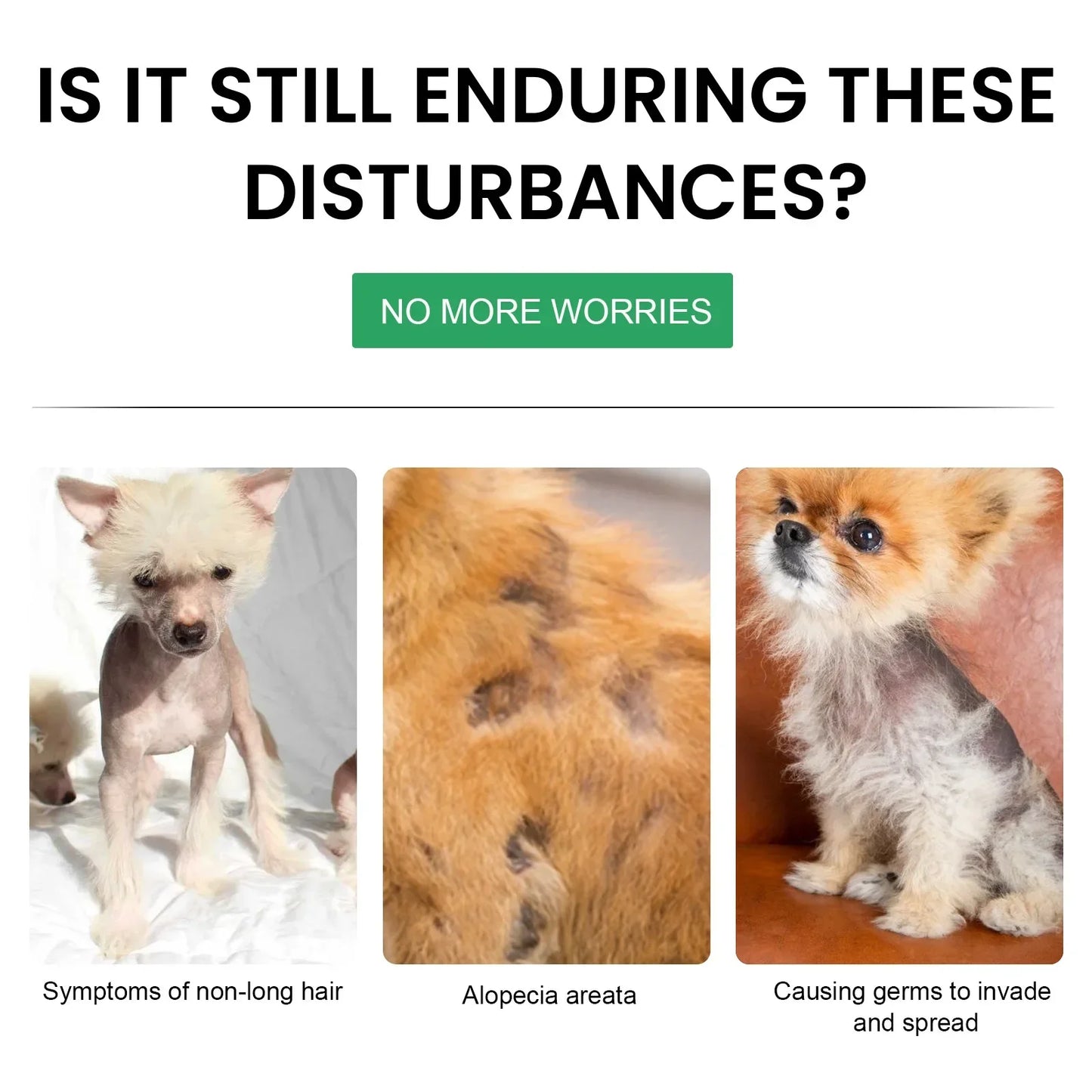 Pet Hair Growth & Hair Loss Treatment