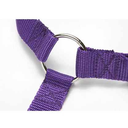 2-in-1 Adjustable Pet Car Seat Belt & Leash