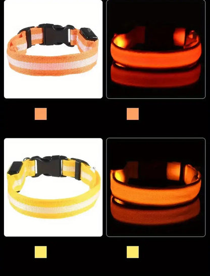 Nylon LED Night Safety Flashing Glow-in-the-Dark Dog Collar 🌟🐶