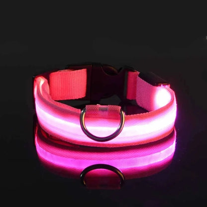 Nylon LED Night Safety Flashing Glow-in-the-Dark Dog Collar 🌟🐶