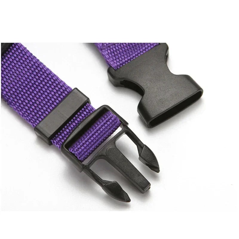 2-in-1 Adjustable Pet Car Seat Belt & Leash