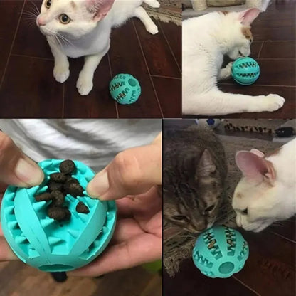 Treat & Chew Ball