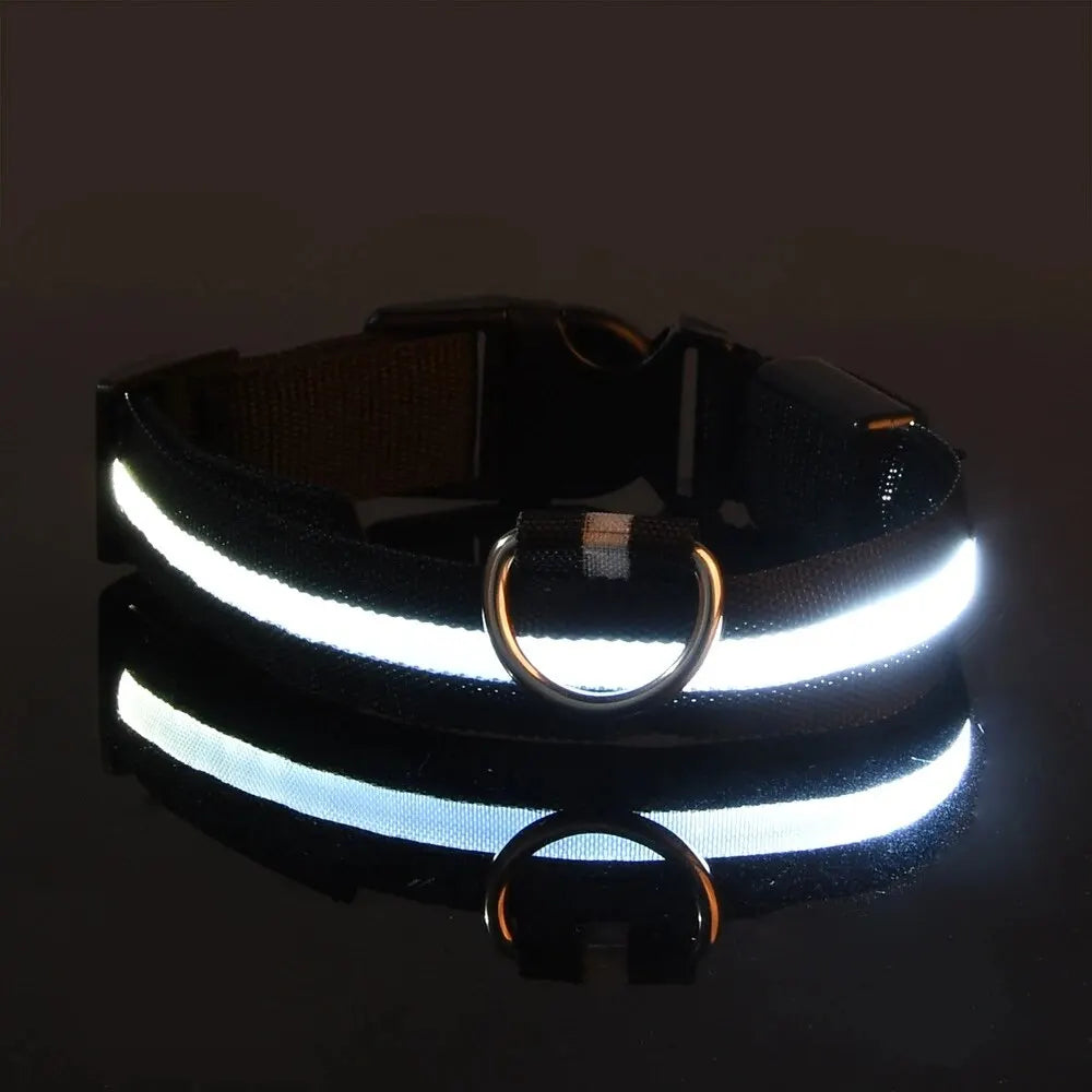 Nylon LED Night Safety Flashing Glow-in-the-Dark Dog Collar 🌟🐶