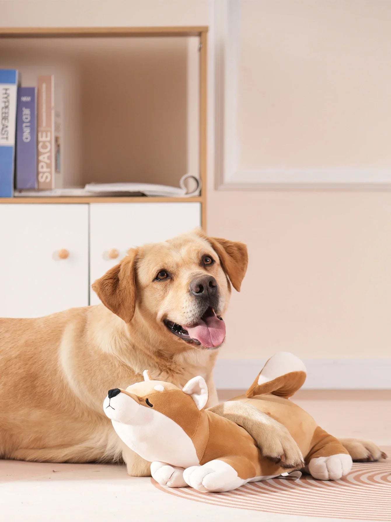 Murphy SnuggleAkita™