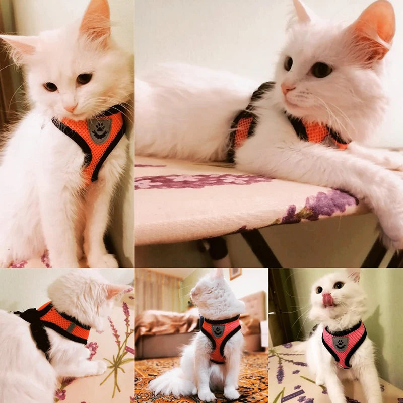 Adjustable Pet Harness w/ Leash - Small Dogs & Cats