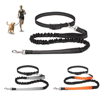 Hands-Free Shock-Absorbing Dog Leash with Waist Belt