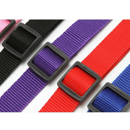 2-in-1 Adjustable Pet Car Seat Belt & Leash